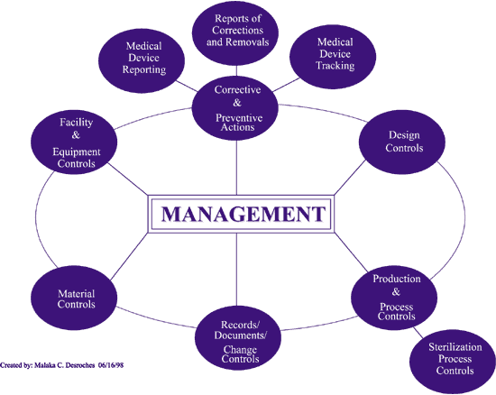 management chart