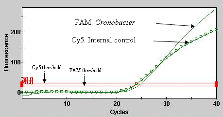 Sample screenshots of the SmartCycler result (graph view, updated)