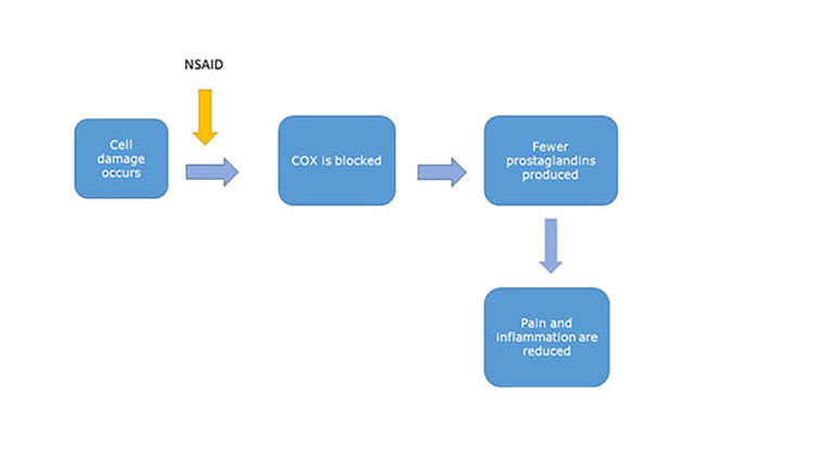 Schematic showing that many NSAIDs work by blocking COX: Cell damage occurs - NSAID blocks the enzyme COX - The damaged cell produces fewer prostaglandins - Pain, inflammation, and fever are reduced.