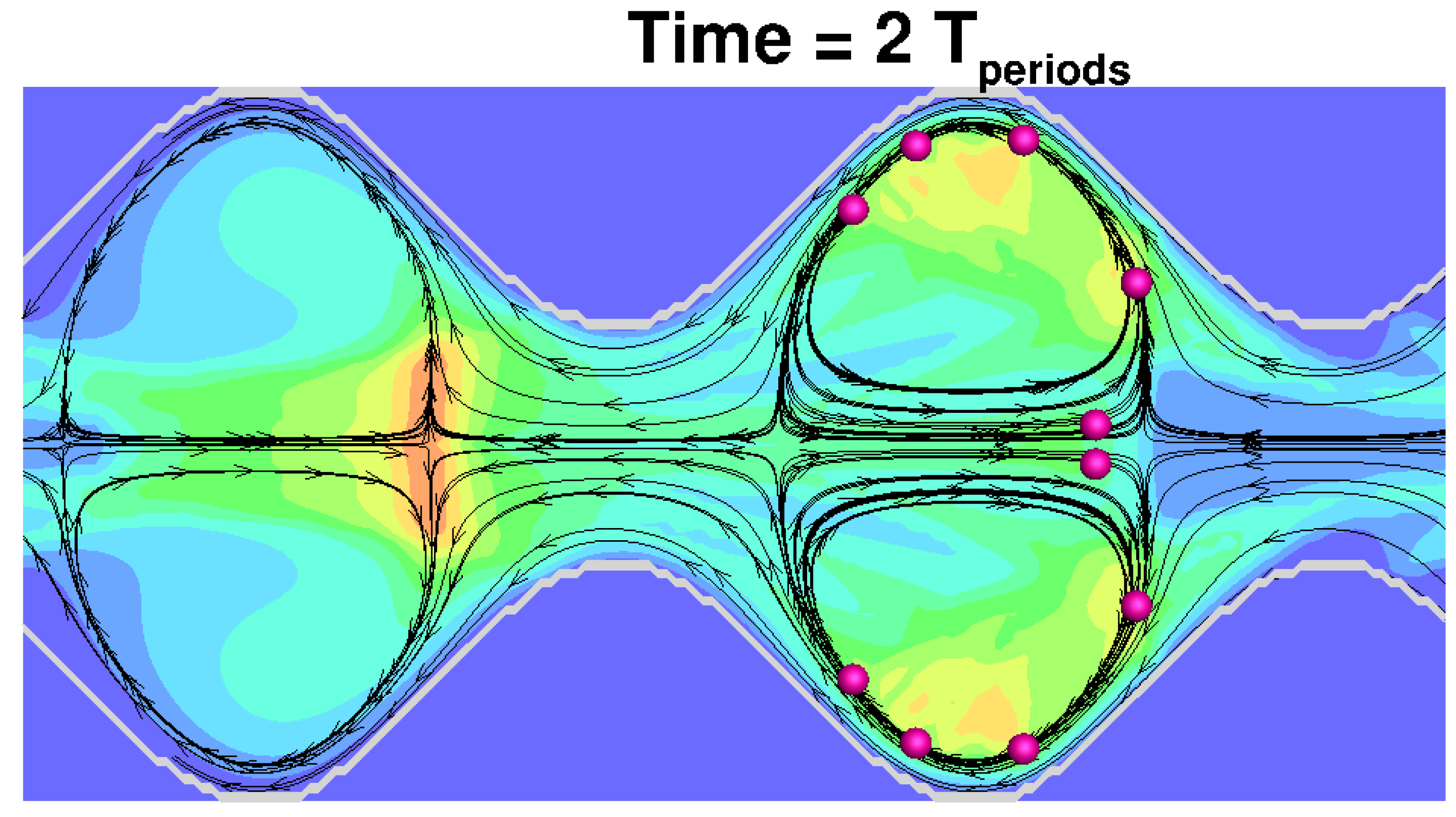 Figure 21. Modernization of in vivo-in vitro oral bioperformance prediction and assessment