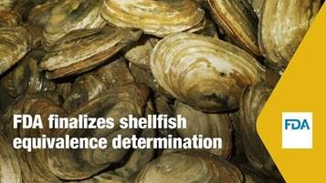 Image of oysters with text overlay: FDA finalizes equivalence determination 