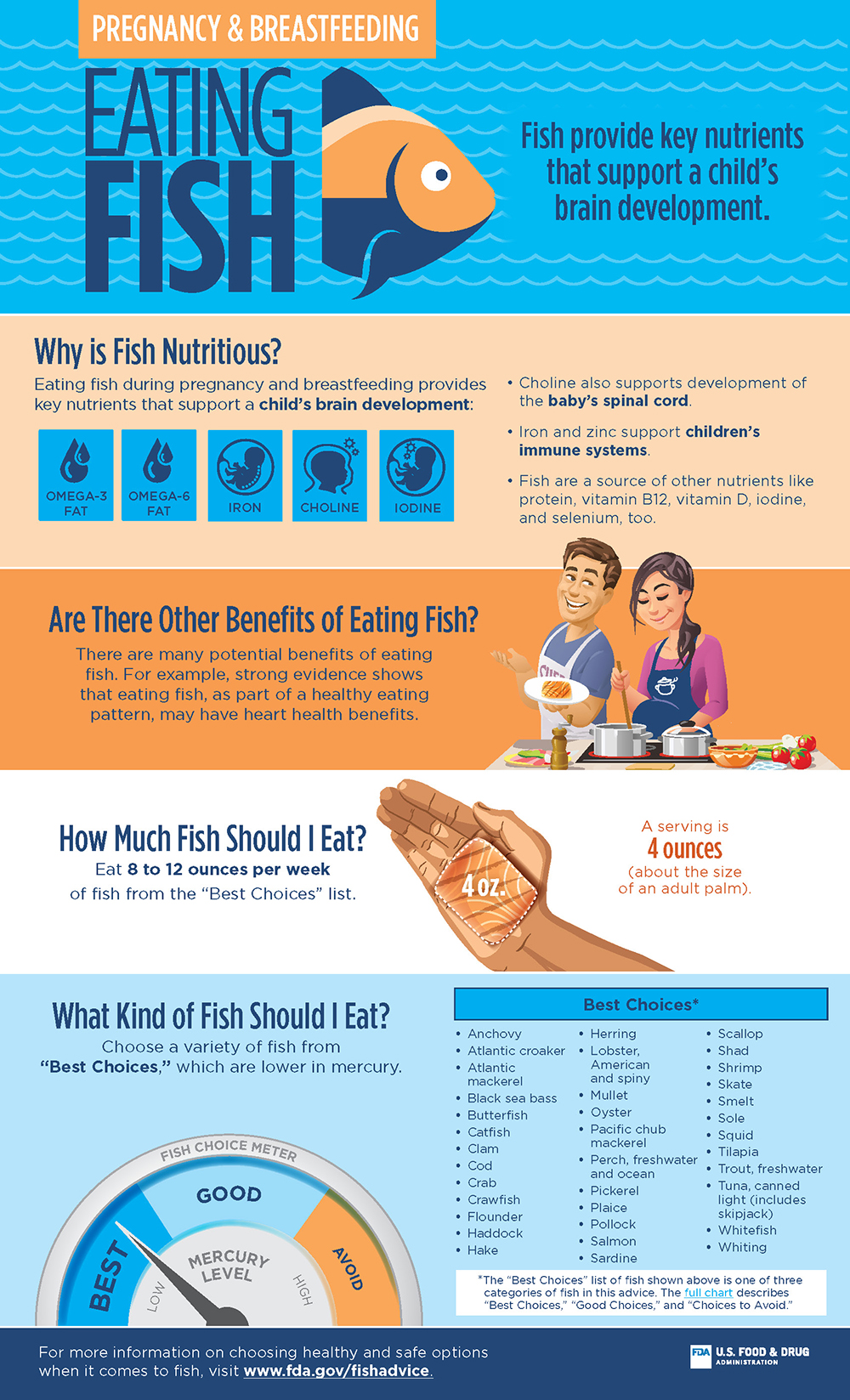 Infographic on Eating Fish for Pregnancy and Breastfeeding  (JPG)
