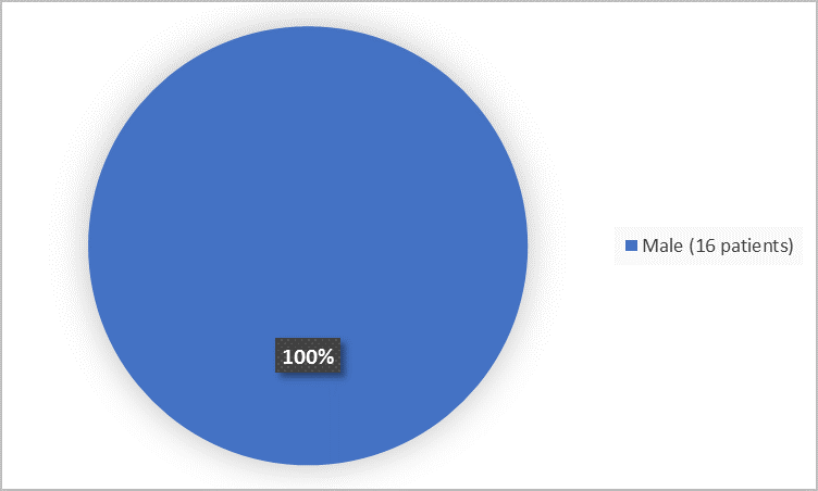 Pie chart summarizing how many men and women were in the clinical trial. In total, 16 men (100%) participated in the clinical trial.