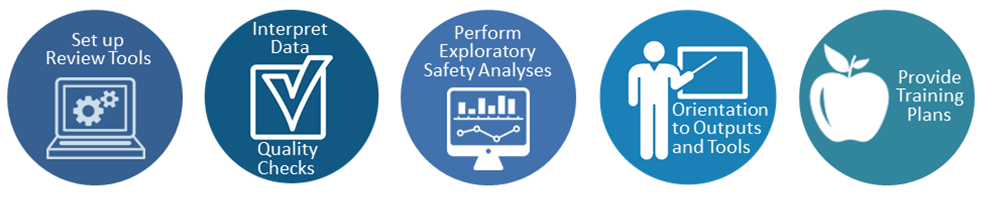 Set up review tools , Intepret data, Quality checks , Perform exploratory safety analyses, Orientation to outputs and tools, Provide training plans