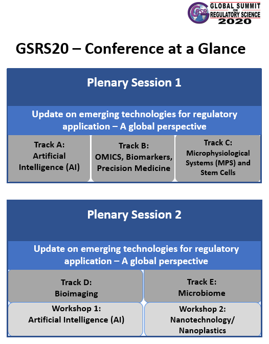GSRS20 - Conference at a Glance