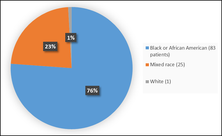 Pie chart summarizing the percentage of patients by race in the clinical trial. In total, 83 Black (76%), 25 mixed race (23%) and 1 White (1%) participated in the clinical trial.
