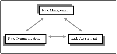 Figure I-2. Risk Analysis is an Iterative Process UCM245849