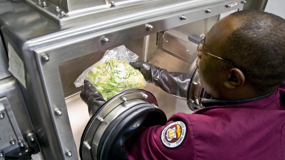 An FDA employee examines a bag of produce within a sealed environment in a lab
