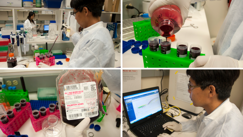 FDA scientists conducting blood research with blood samples and various laboratory equipment.