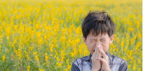 boy sneezing in a field of flowers