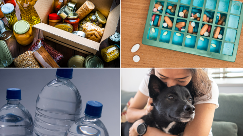 four photos showing box of dry goods food items, various pills and capsules in a medicine organizer, bottled water, and a young girl hugging her dog