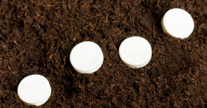 White tablets in soil