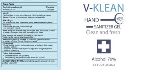Photo 2 – V-Klean Hand Sanitizer Gel, 8.5 fl oz
