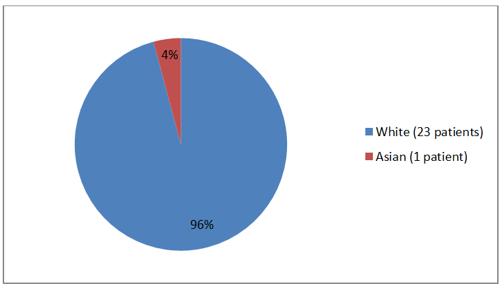 Pie chart summarizing the percentage of patients by race in the clinical trial. In total, 23 Whites (96%), and 1  Asian (4%), participated in the clinical trial