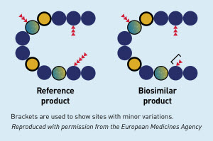 Minor differences between the references product and the proposed biosimilar product in clinically inactive components are acceptable.