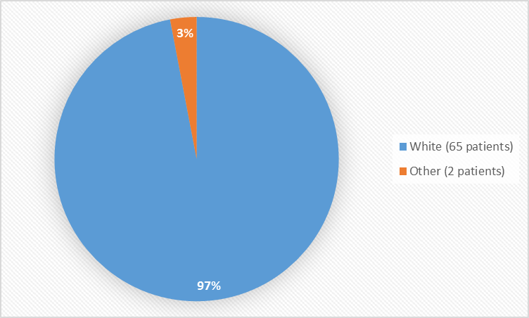 Pie chart summarizing the percentage of patients by race enrolled in the clinical trial. In total, 65 White (97%) and 2 Other patients (3%) participated in the clinical trial.