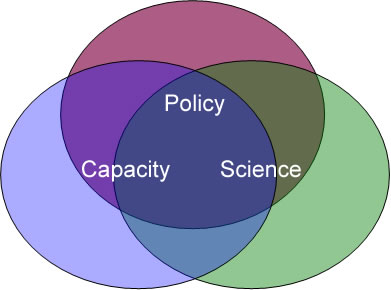 intersecting circles with words Policy, Capacity, Science