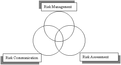 Risk analysis is often illustrated using three circles, equal in size and overlapping to indicate both independent and dependent activities of the three risk analysis components.  Each component has unique responsibilities.