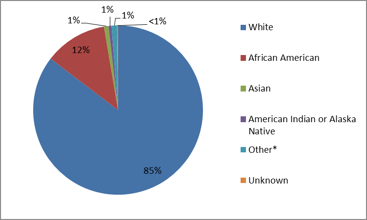 Bar chart summarizing the percentage of patients by race enrolled in the REXULTI clinical trial. In total, 900 White (85%), 126 Black (12%), 9 Asian (1%), 6 American Indian or Alaska Native (1%), 11 identified as Other (1%), and 2 could not be identified (less than 1%).