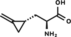 Hypoglycin A in Ackee Fruit