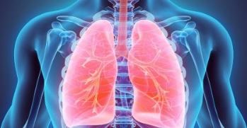 illustration of human lungs xray