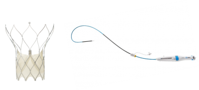 Parts of the Portico Transcatheter Aortic Valve Implantation System which include the artificial aortic heart valve and the FlexNav Delivery System.