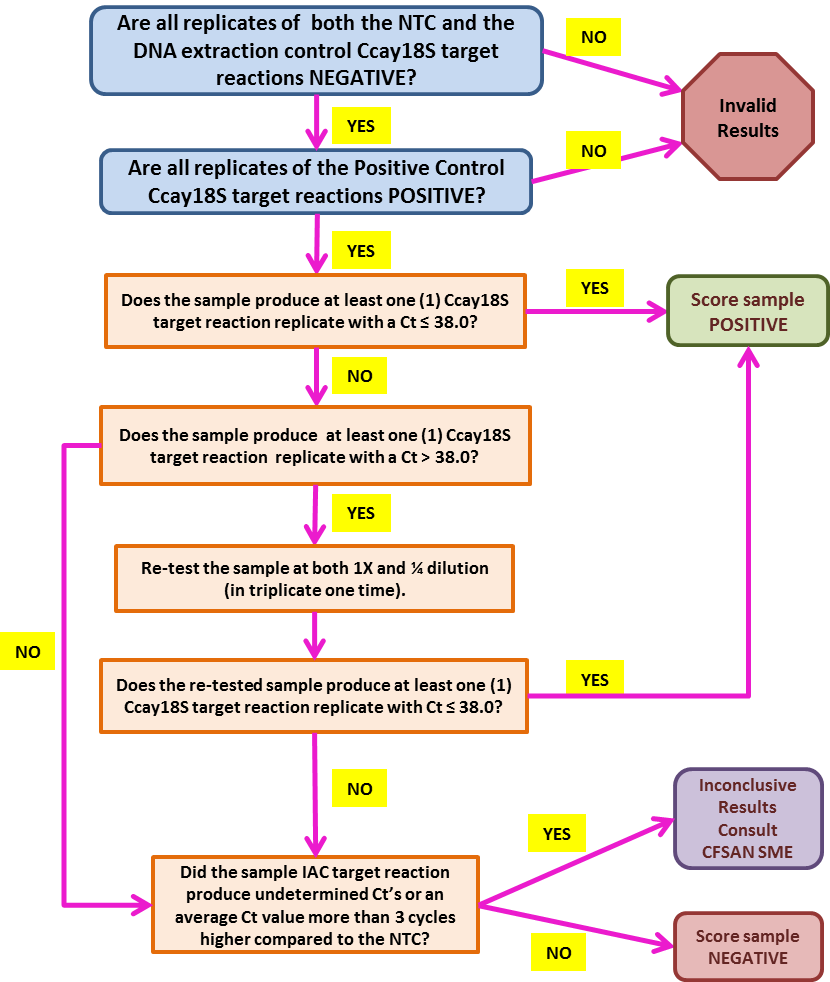 BAM 19b  qPCR Data Analysis Flowchart: