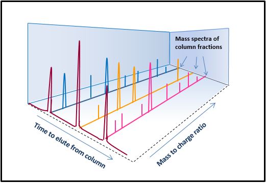 Example of LC-HRMS analysis of a peptide