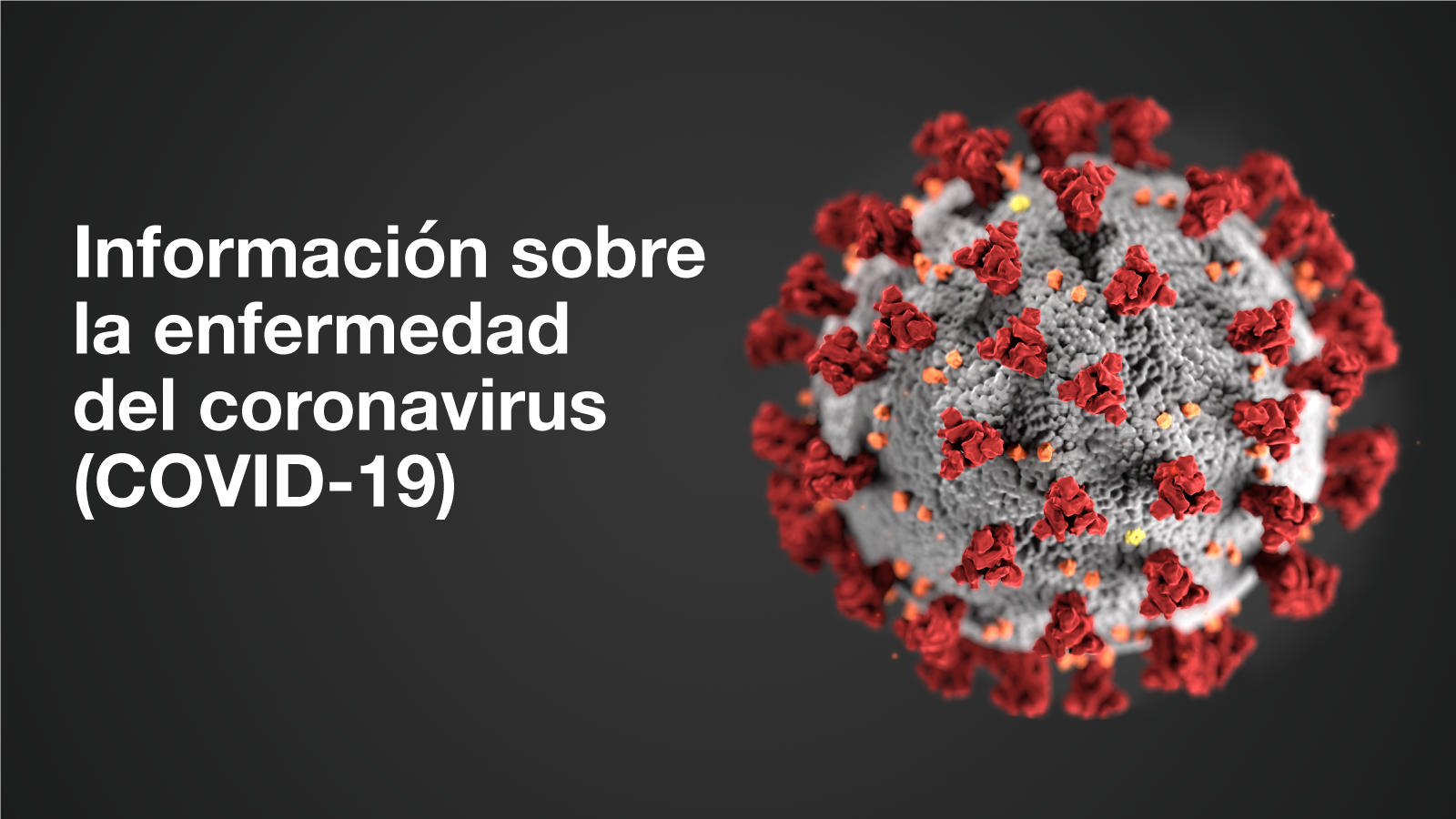 Enfermedad del Coronavirus (COVID-19)