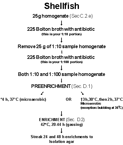 Image of Flow chart