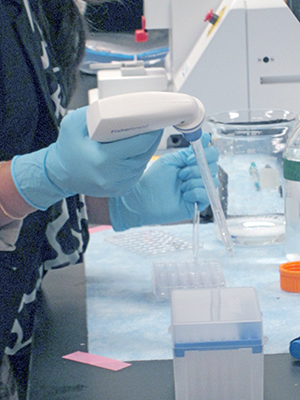 Hands of an FDA scientist conducting a lab experiment