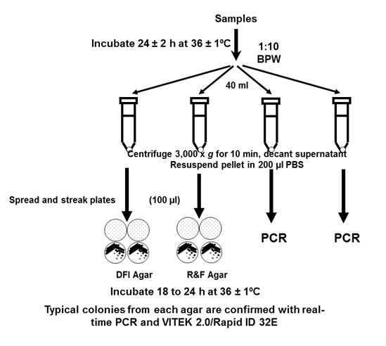 Flowchart for the dentification of Cronobacter