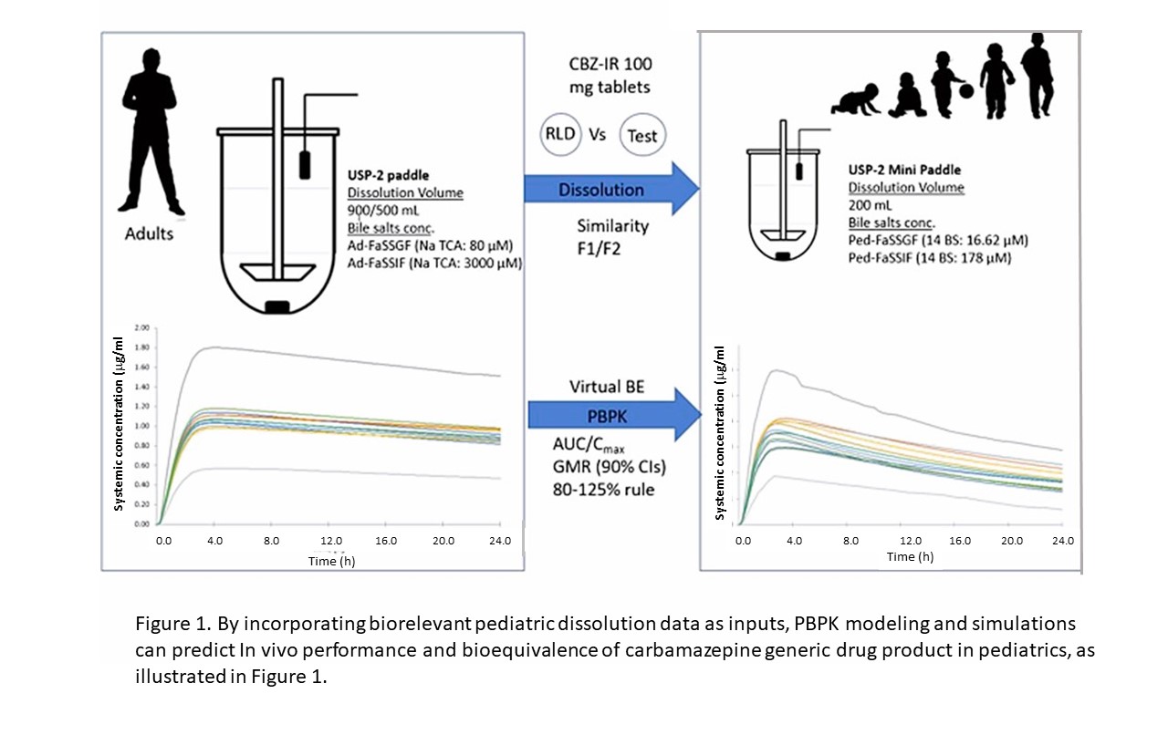 Figure 1. Schematic figure for the development of in vitro dissolution and PBPK modeling