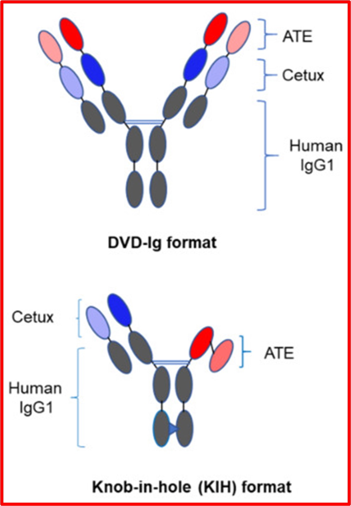 DVD-lg and KNob-in-hole (KIH) format