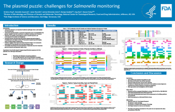 The plasmid puzzle: challenges for Salmonella monitoring