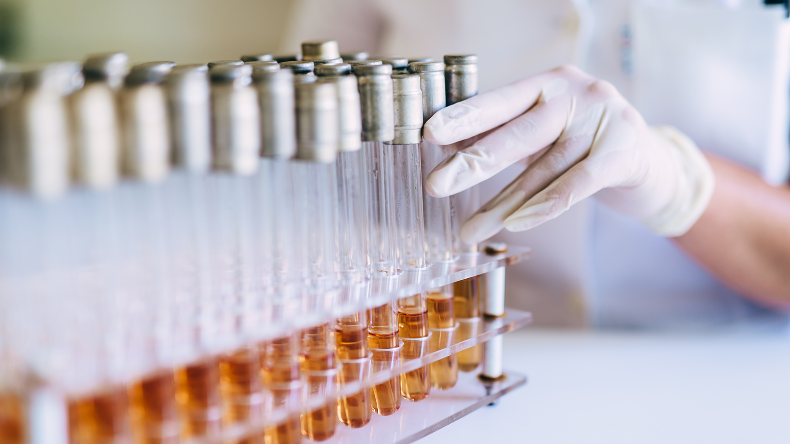 Rack filled with test tubes containing orange liquid