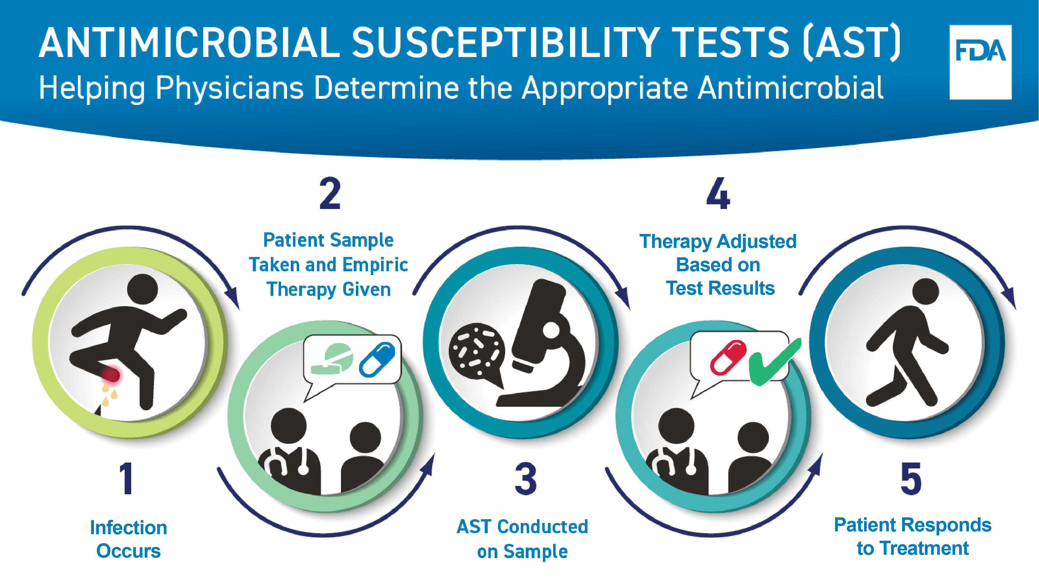This graphic shows how an antimicrobial susceptibility test, or AST, helps a health care professional determine the correct drug to treat a bacterial infection. First, an infection occurs. Next, a patient sample is taken for testing and an empiric therapy is provided to the patient. Third, an AST is conducted on the sample. Next, the treatment is adjusted based on the test results, as needed, to ensure the most appropriate therapy, or drug, is given. Last, the patient responds to treatment.
