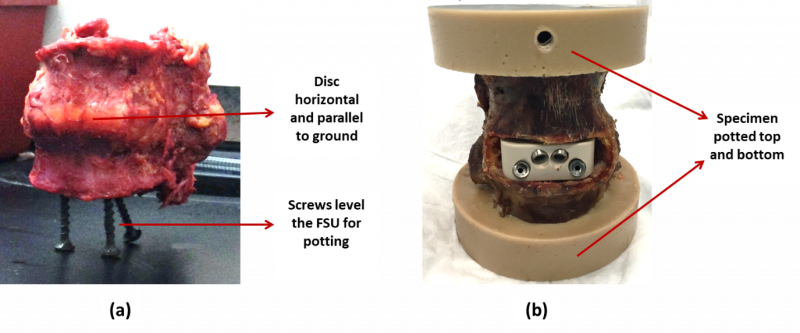 Figure 1: An example FSU (a) prepared for potting and (b) after potting