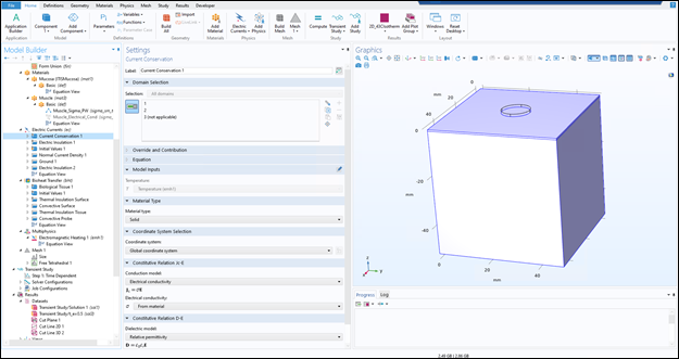 Screenshot of Assigning Boundary and Initial Condition -Current Conservation