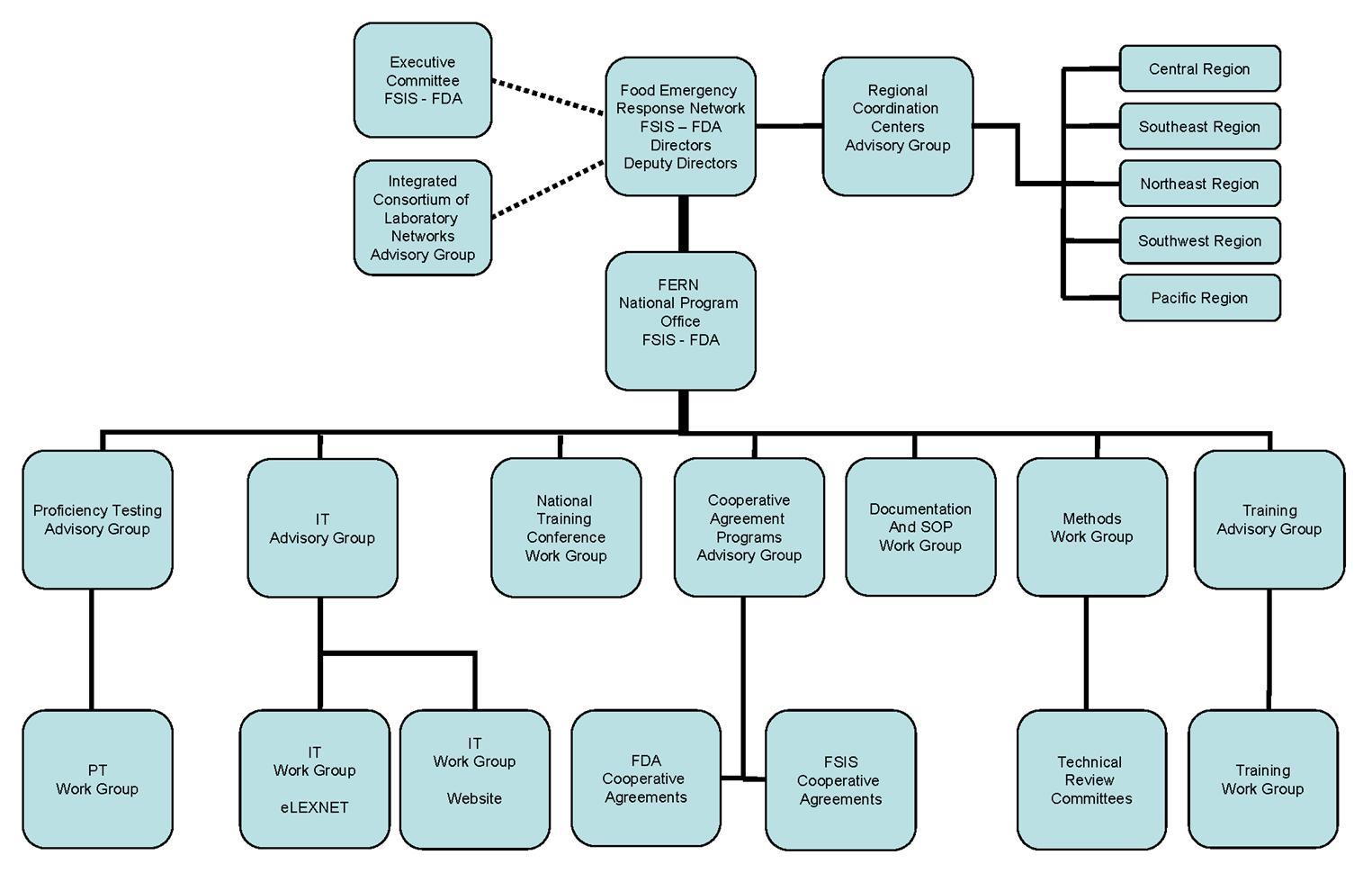 FERN Structure