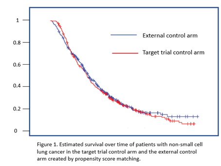 Figure 1. Estimated survival over time of patients with non-small cell lung cancer