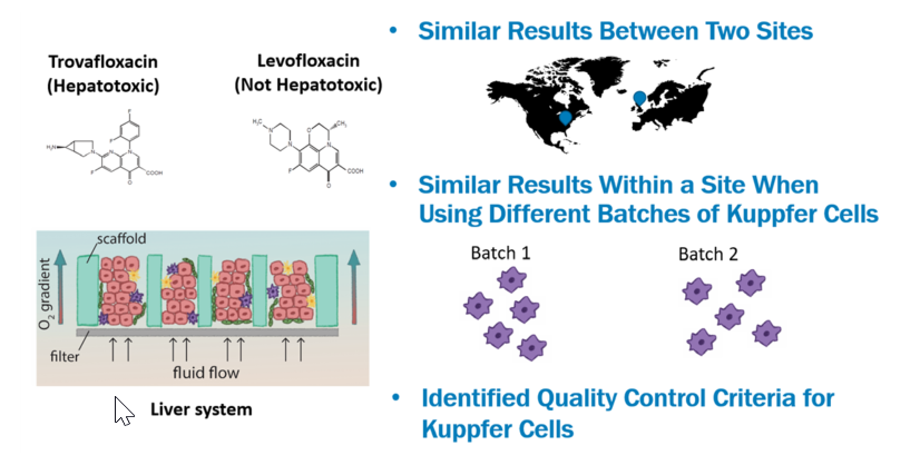 Figure 3. Summary of results with trovafloxacin and levofloxacin added to a liver 3d microphysiological system, where reproducibility of effects was observed across experimental sites, using distinct batches of Kupffer cells, while following quality control criteria for these cells.