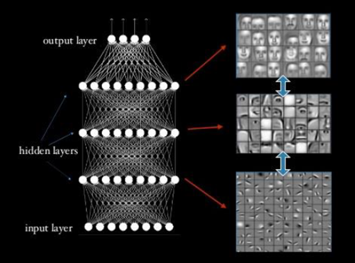 Figure 2. In deep learning, artificial neurons (white circles) are connected in neural networks with one or more “hidden” layers of neurons between the input layer (where the data is first entered) and the output layer that signals which choice is to be made in a learning task (in this case, recognition of human faces). By using a training set in which the desired final output is known, inputs and thus outputs (represented by the lines connecting circles) in these networks can be adjusted stepwise so that the network learns to make good decisions consistently. A key characteristic of this learning approach is that successive hidden layers learn to recognize features of greater and greater complexity by combining simpler features from the previous layer. Examples of features captured in successive hidden layers might be edge, eye, and face (as shown here for facial recognition) or waveform, phoneme, word, and sentence for speech recognition. In practice, these networks can consist of thousands of neurons with many hidden layers and features.