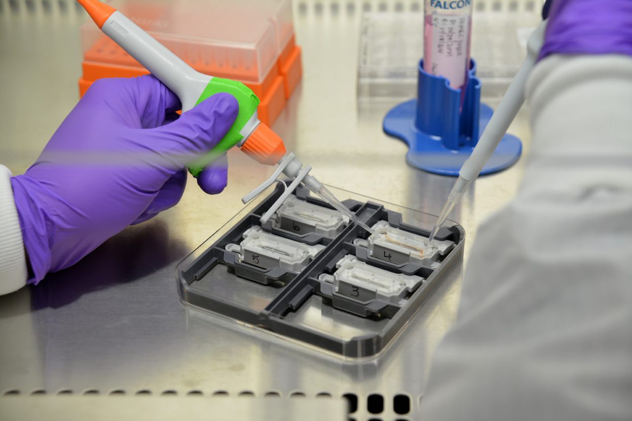 The photo shows a scientist working with Organ on a Chip technology in a laboratory.