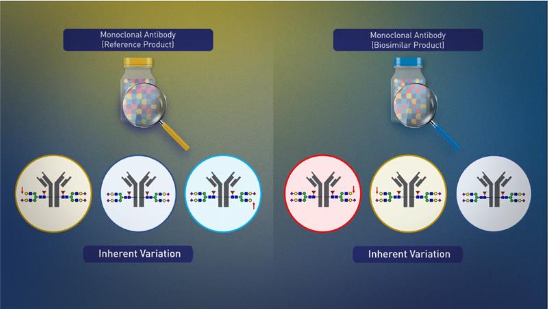 Manufacturing and Cell Lines 