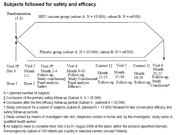 llustration of subject followed for safety and efficacy