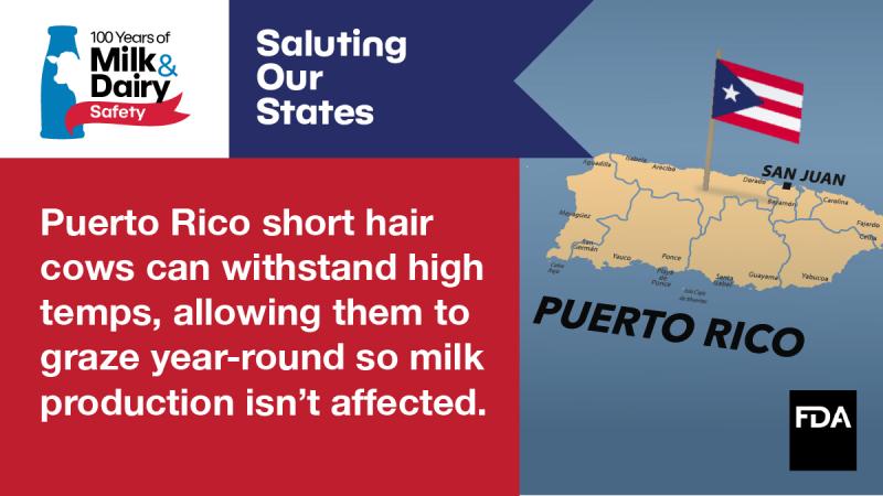 State Salute for Milk & Dairy Safety: Puerto Rico
