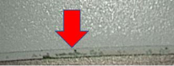 Endoscope Microscopic evidence with red arrow pointing to evidence of liquid present