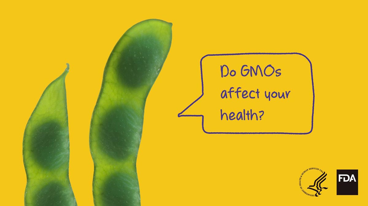 Feed Your Mind Twitter - Do GMOs affect your health?