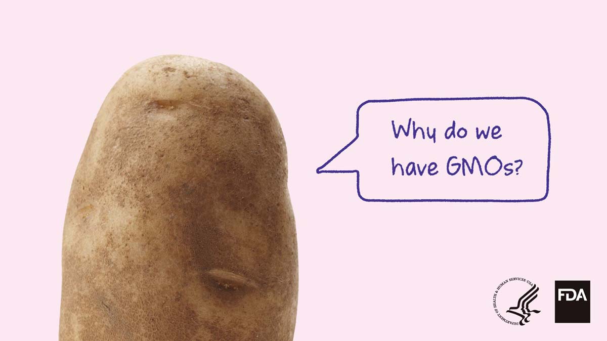 Feed Your Mind Twitter - Why do we have GMOs?